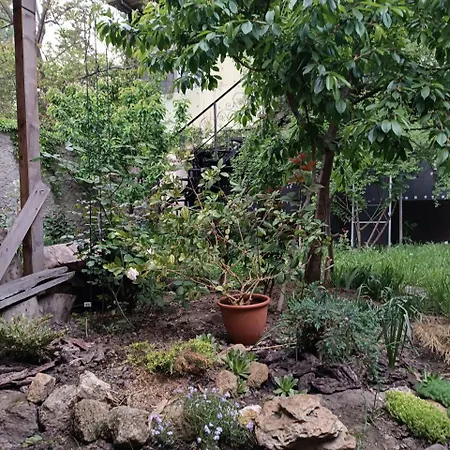 дом у моря с бассейном и сауной Appartement