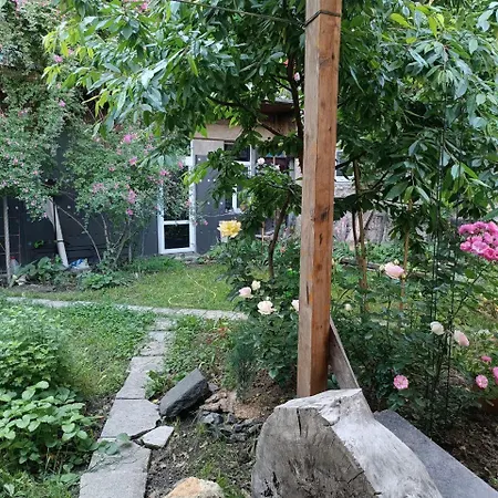 дом у моря с бассейном и сауной Apartament