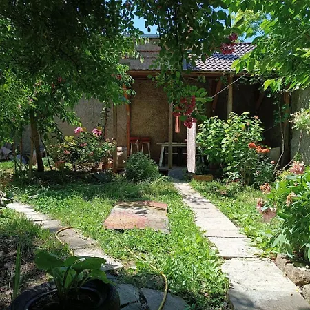 дом у моря с бассейном и сауной Odesa