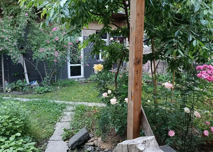 дом у моря с бассейном и сауной Apartman