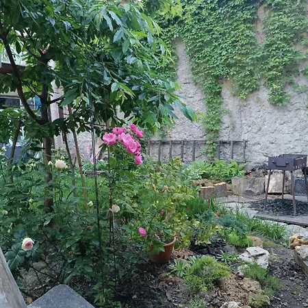 дом у моря с бассейном и сауной Oděsa